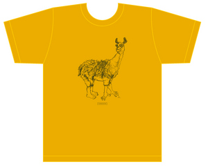 sample.jpg